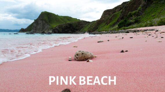 Pink Beach