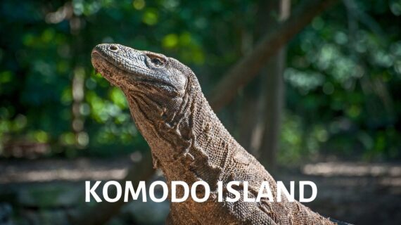 Komodo Island